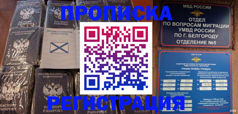 прописка гарантия в Волгореченске
